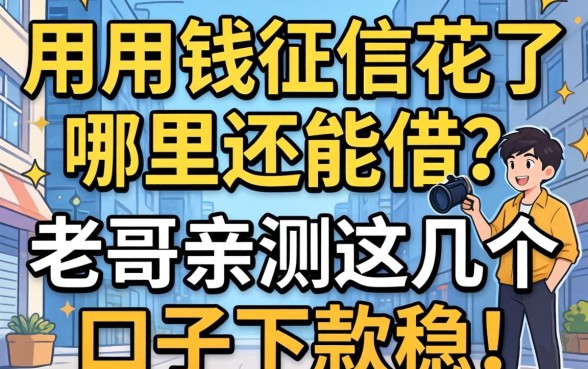 急用钱征信花了哪里还能借？老哥亲测这几个口子下款稳！