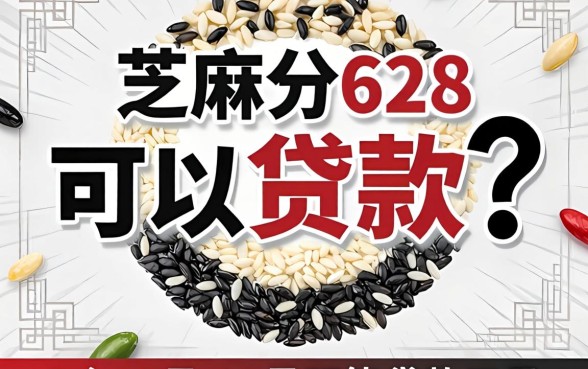 芝麻分628可以贷款吗，概括5个12月能贷款的口子