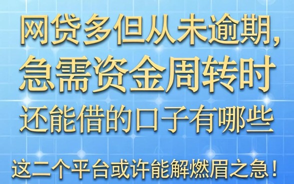 网贷多但从未逾期,急需资金周转时还能借的口子有哪些?这几个平台或许能解燃眉之急!