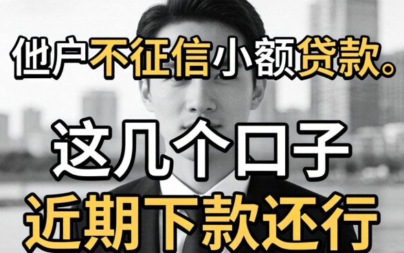 黑白用户不上征信小额贷款，这几个口子近期下款还行