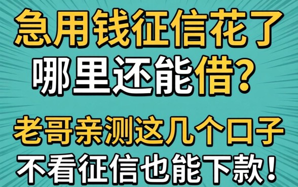 急用钱征信花了哪里还能借？老哥亲测这几个口子不看征信也能下款！