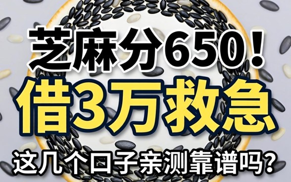 芝麻分650想借3万救急，这几个口子亲测靠谱吗？