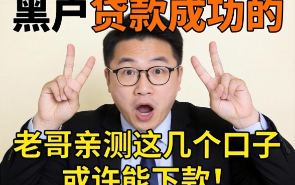 有没有给黑户贷款成功的？老哥亲测这几个口子或许能下款！