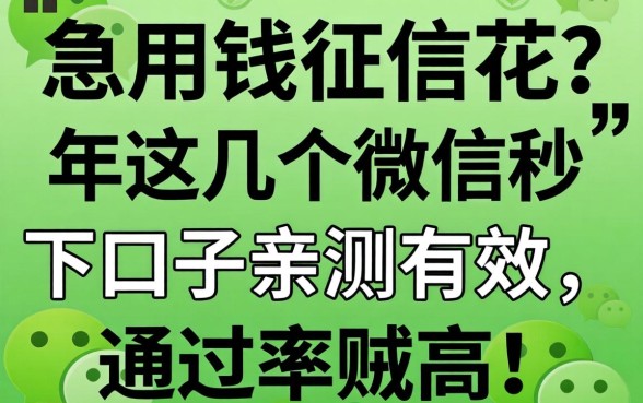 急用钱征信花？2026年这几个微信秒下口子亲测有效，通过率贼高！
