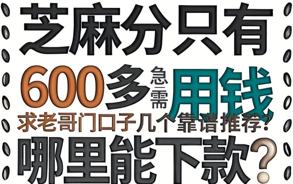 芝麻分只有600多，急需用钱哪里能下款？求老哥们推荐几个靠谱口子！