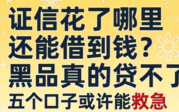征信花了哪里还能借到钱？黑户真的贷不到款吗？这五个口子或许能救急