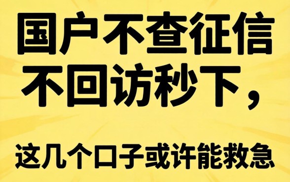 黑户不查征信不回访秒下，这几个口子或许能救急