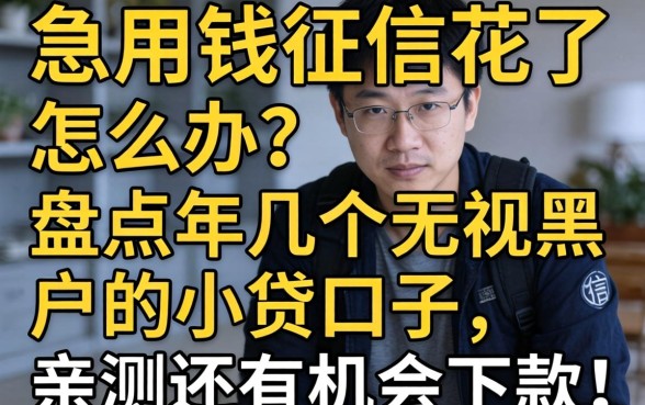 急用钱征信花了怎么办？盘点2026年几个无视黑户的小贷口子，亲测还有机会下款！