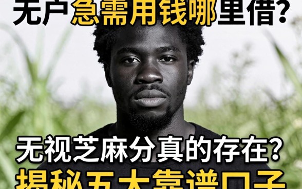 黑户急需用钱哪里借？无视芝麻分真的存在吗？揭秘五大靠谱口子