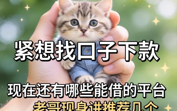 手里头紧想找口子下款，现在还有哪些能借的平台？老哥现身说法推荐几个！
