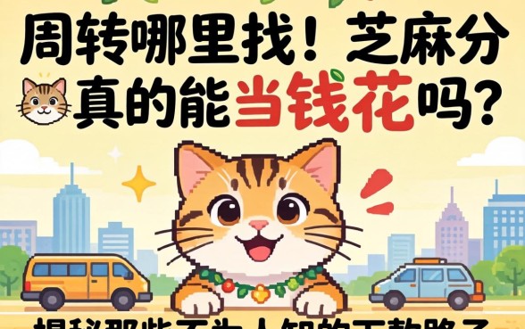 急需周转哪里找？芝麻分真的能当钱花吗？揭秘那些不为人知的下款路子