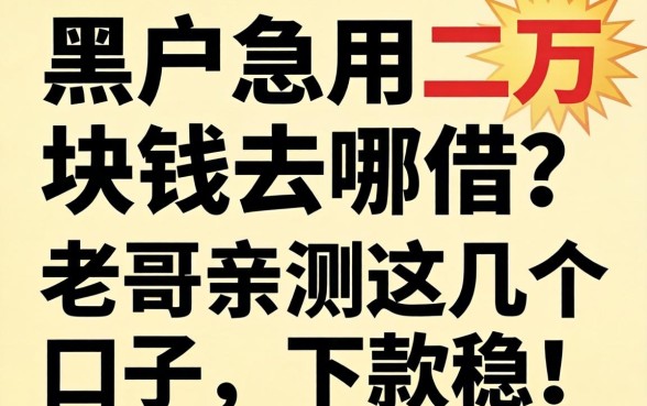 黑户急用二万块钱去哪借？老哥亲测这几个口子，下款稳！
