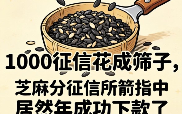 我芝麻分1000征信花成筛子，居然在2026年成功下款了