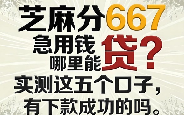 芝麻分667急用钱哪里能贷？实测这五个口子，有下款成功的吗？