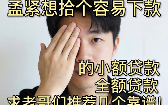 手头紧想找个容易下款的小额贷款，求老哥们推荐几个靠谱的！