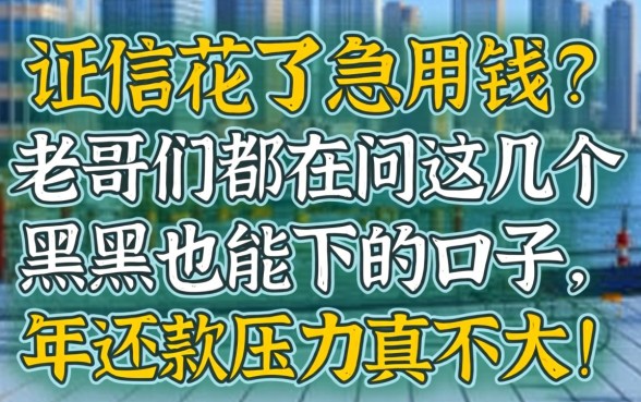 征信花了急用钱？老哥们都在问这几个黑户也能下的口子，2026年还款压力真不大！