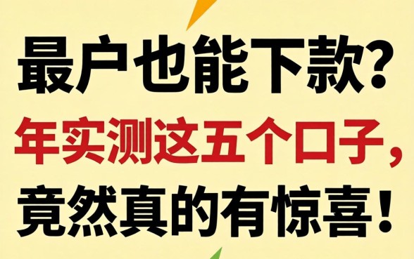 黑户也能下款？2026年实测这五个口子，竟然真的有惊喜！