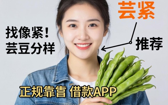 最近手头紧想找个像芸豆分那样正规靠谱的借款APP，大家有推荐吗？