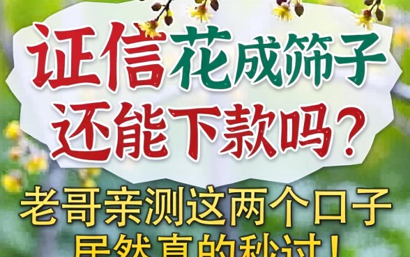 征信花成筛子还能下款吗？老哥亲测这几个口子居然真的秒过！