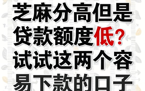 芝麻分高但是贷款额度低？试试这几个容易下款的口子
