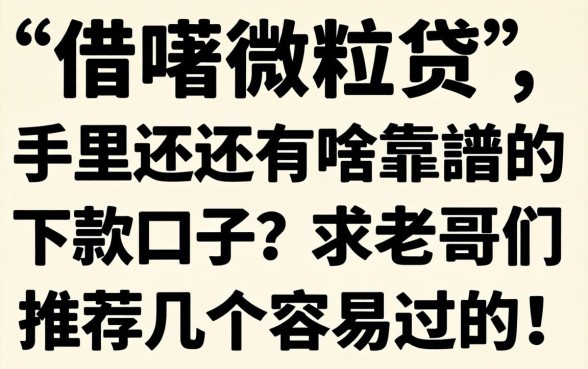 除了借呗微粒贷，手里还有啥靠谱的下款口子？求老哥们推荐几个容易过的！