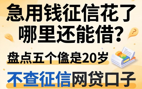 急用钱征信花了哪里还能借?盘点五个20岁不查征信的网贷口子