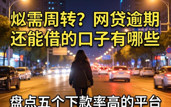 深夜急需周转？网贷逾期 还能借的口子有哪些？盘点五个下款率高的平台