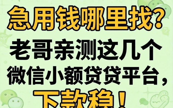 急用钱哪里找？老哥亲测这几个微信小额借贷平台，下款稳！