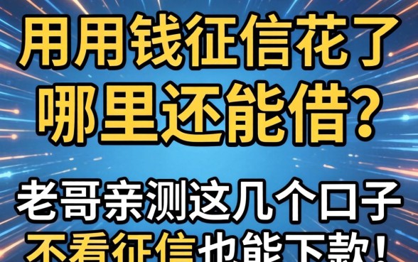 急用钱征信花了哪里还能借？老哥亲测这几个口子不看征信也能下款！
