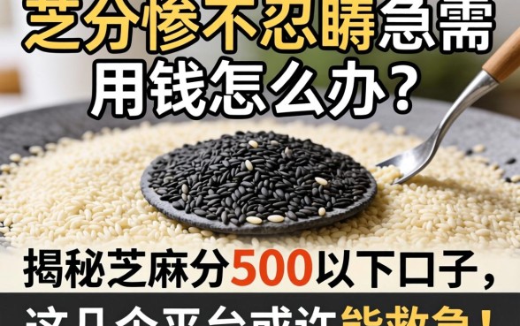 芝麻分惨不忍睹急需用钱怎么办？揭秘芝麻分500以下口子，这几个平台或许能救急！