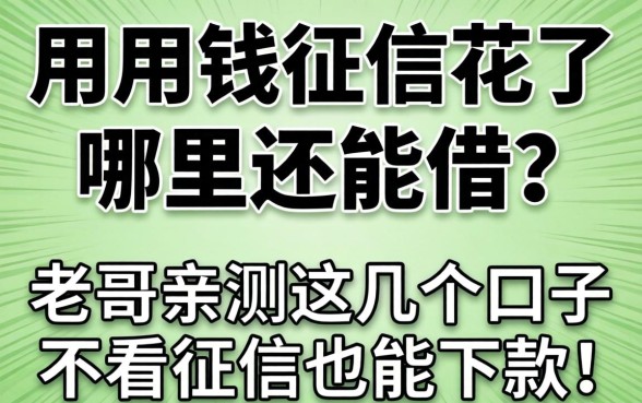急用钱征信花了哪里还能借？老哥亲测这几个口子不看征信也能下款！