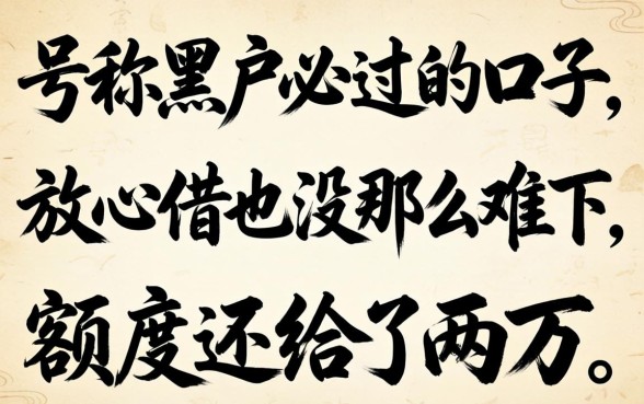 我试了那些号称黑户必过的口子，发现放心借也没那么难下，额度还给了两万