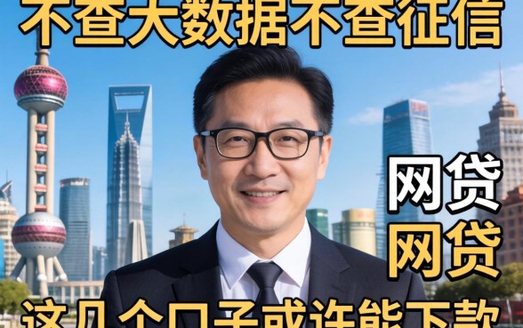 揭秘不查大数据不查征信的网贷2026，这几个口子或许能下款
