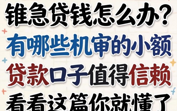 急需用钱怎么办?有哪些机审的小额贷款口子值得信赖?看完这篇你就懂了