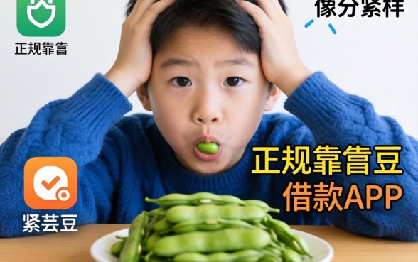 最近手头紧想找个像芸豆分那样正规靠谱的借款APP，大家有推荐吗？