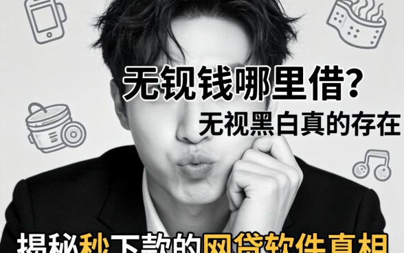 急需用钱哪里借?无视黑白真的存在吗?揭秘秒下款的网贷软件真相与风险