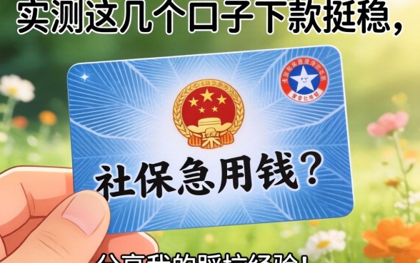 手里有社保卡急用钱?实测这几个口子下款挺稳,分享我的踩坑经验!