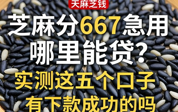 芝麻分667急用钱哪里能贷？实测这五个口子，有下款成功的吗？