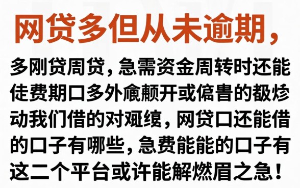 网贷多但从未逾期,急需资金周转时还能借的口子有哪些?这几个平台或许能解燃眉之急!