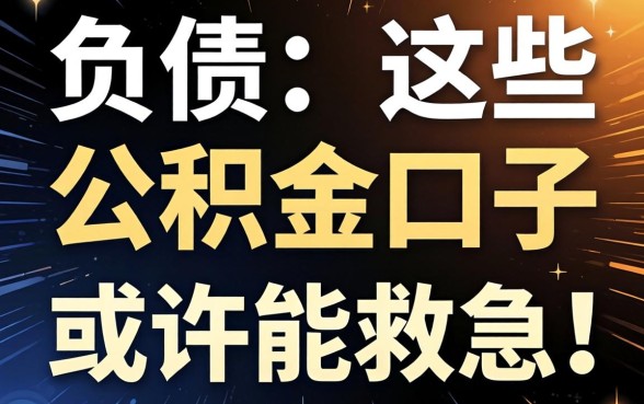 无视查询负债？这些公积金口子或许能救急