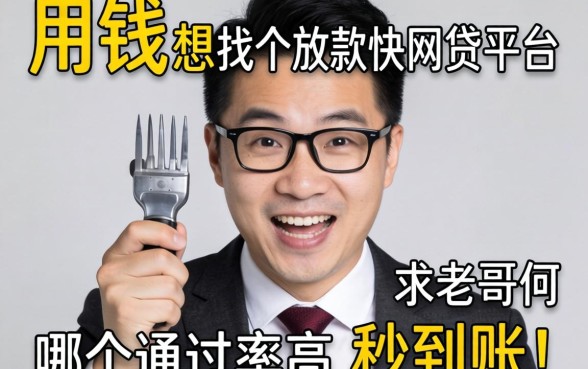 急用钱想找个放款快的网贷平台，哪个通过率高且秒到账？求老哥们推荐不墨迹的口子！