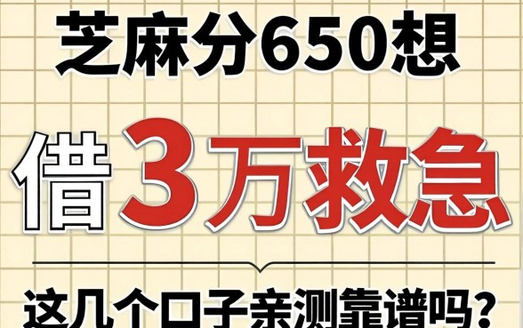 芝麻分650想借3万救急，这几个口子亲测靠谱吗？