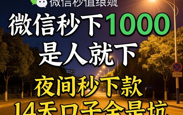 我试了微信秒下1000是人就下2026，发现夜间秒下款的14天口子全是坑