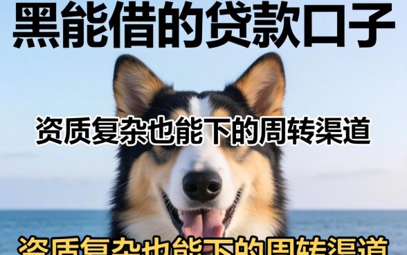 网黑能借的贷款口子：资质复杂也能下的周转渠道