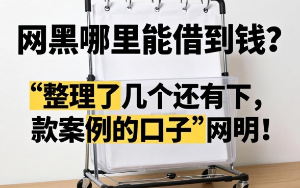 网黑哪里能借到钱？整理了几个还有下款案例的口子