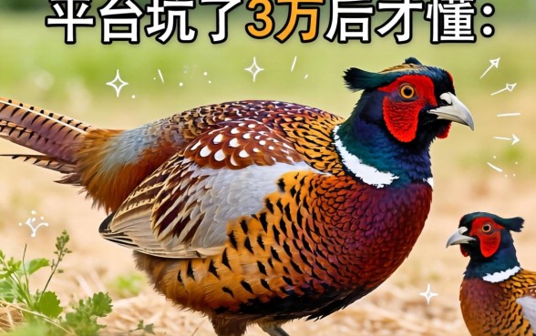 被野鸡平台坑了3万后才懂：类似秦享贷借款app下载一样正规的借款口子怎么找