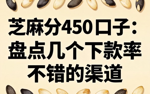 芝麻分450的口子：盘点几个下款率不错的渠道