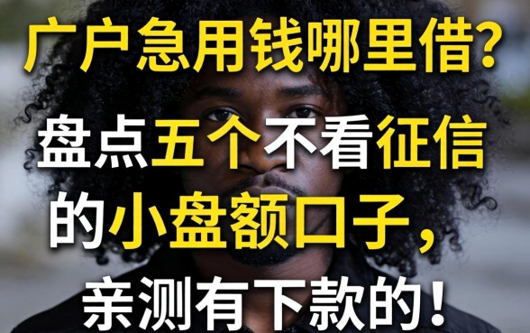 黑户急用钱哪里借？盘点五个不看征信的小额口子，亲测有下款的！