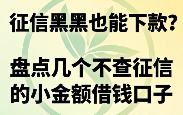 无视征信黑户也能下款？盘点几个不查征信的小额借钱口子