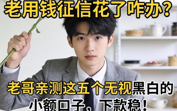 急用钱征信花了咋办？老哥亲测这五个无视黑白的小额口子，下款稳！